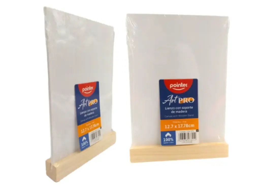CANVAS PARA PINTAR 5X7PLG POINTER