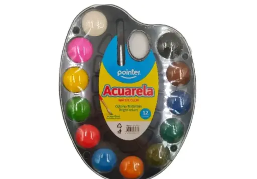 ACUARELA POINTER 12 COLORES