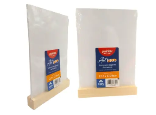 CANVAS PARA PINTAR 5X7PLG POINTER
